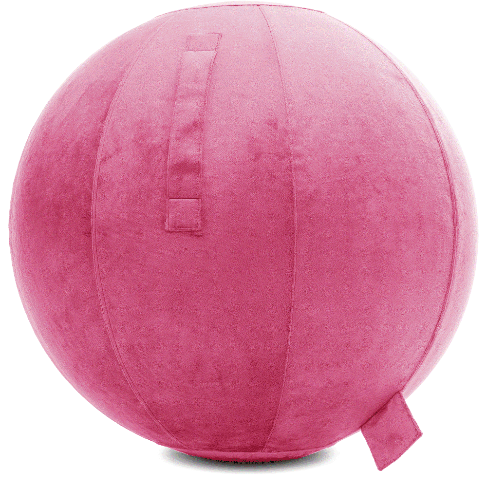 360 - YOGA-75-PBALL-Pink-Elect - Husband Pillow