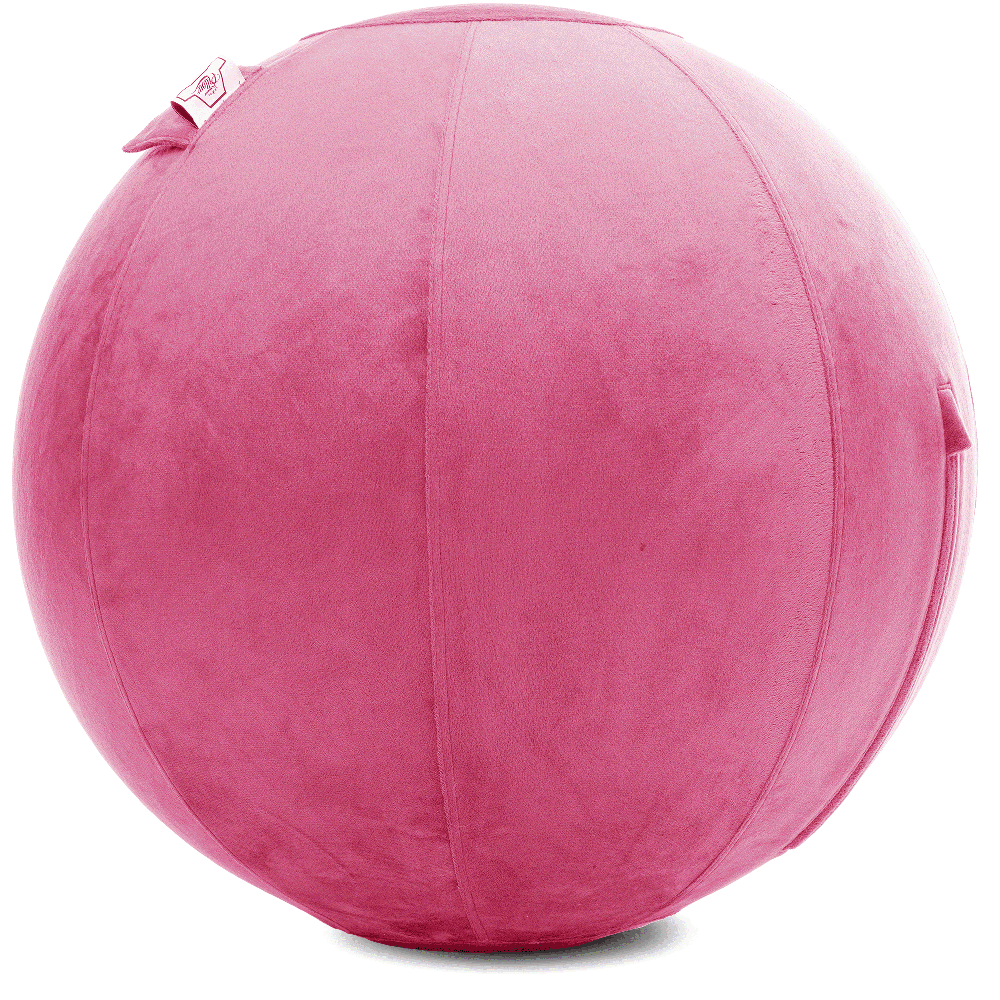 360 - YOGA-75-PBALL-Pink-Manual - Husband Pillow