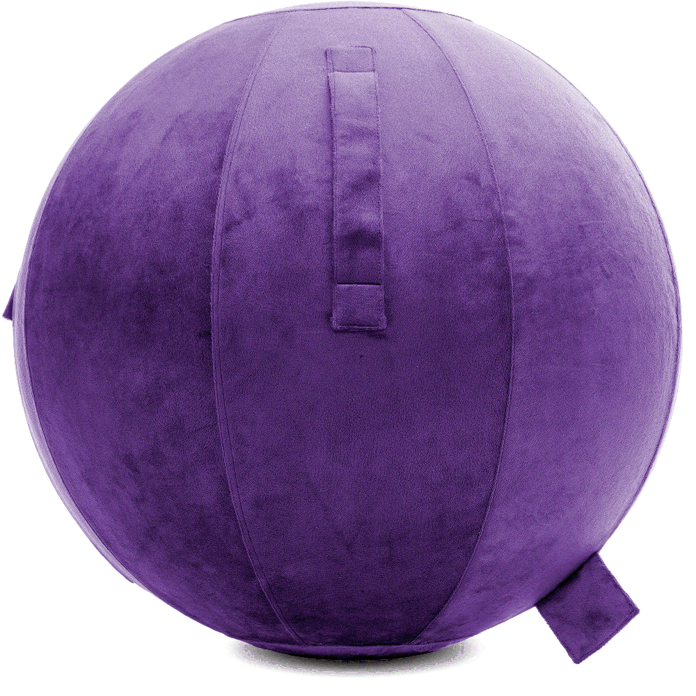 360 - YOGA-75-PBALL-Purp-Elect - Husband Pillow