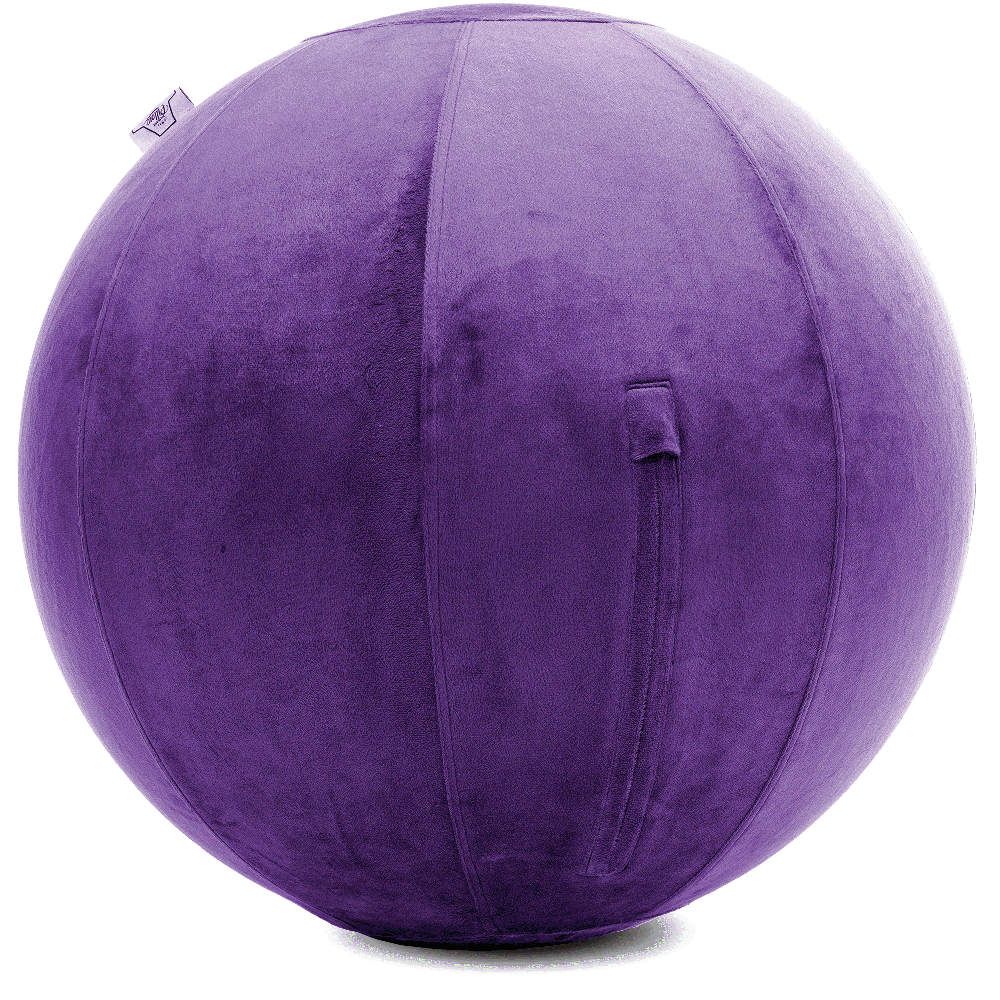 360 - YOGA-75-PBALL-Purp-Elect - Husband Pillow