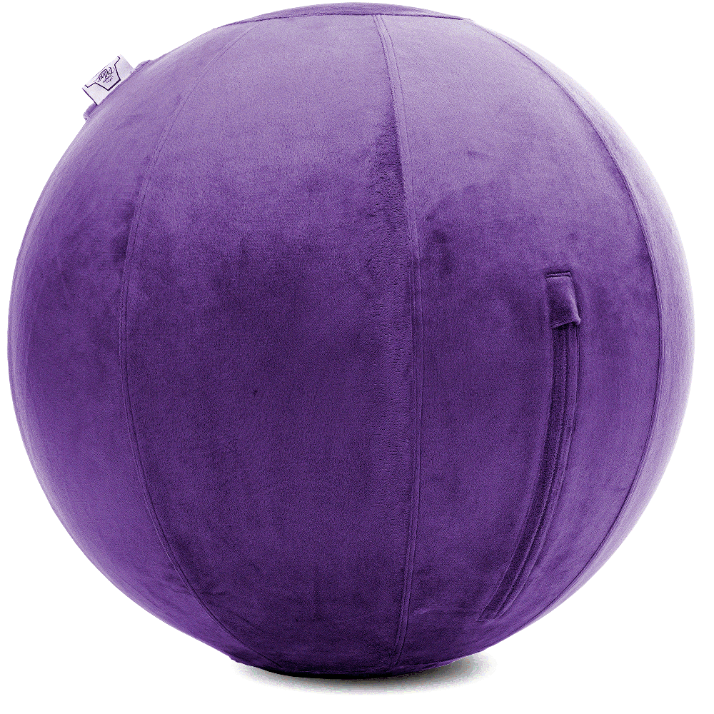 360 - YOGA-75-PBALL-Purp-Elect - Husband Pillow