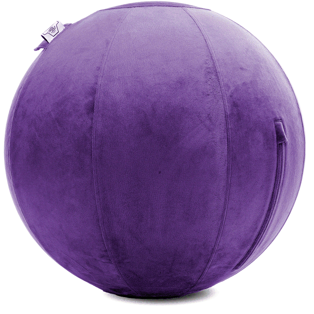 360 - YOGA-75-PBALL-Purp-Elect - Husband Pillow