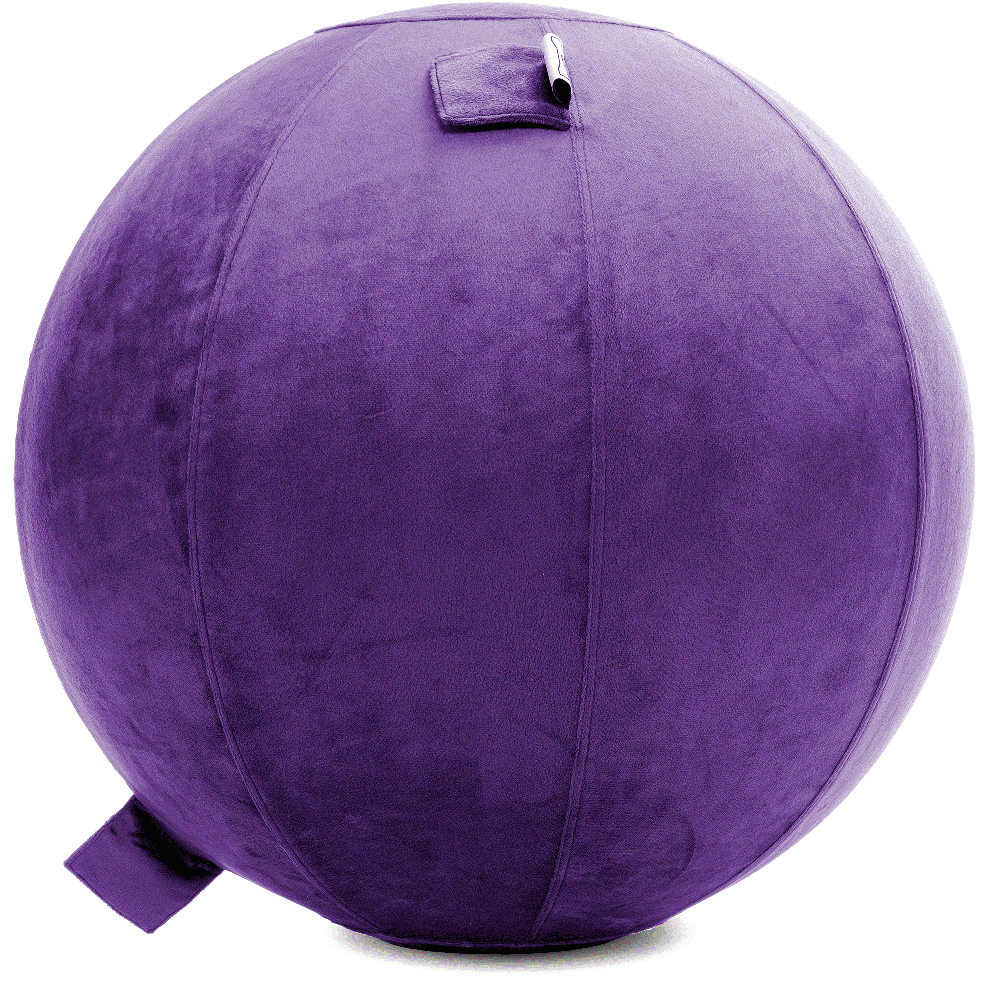 360 - YOGA-75-PBALL-Purp-Elect - Husband Pillow