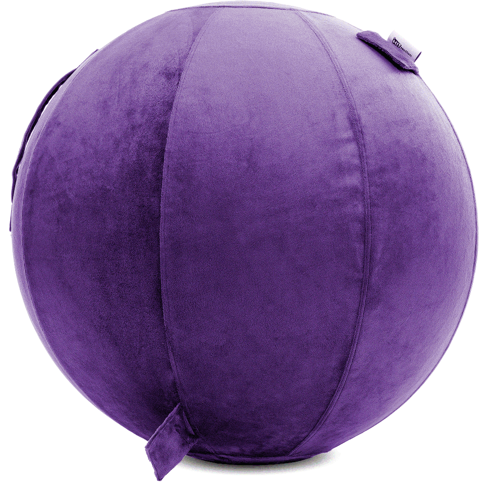 360 - YOGA-75-PBALL-Purp-Elect - Husband Pillow