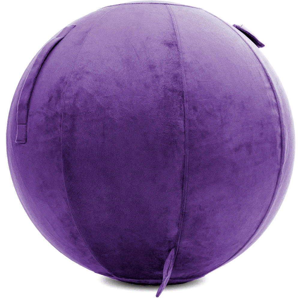 360 - YOGA-75-PBALL-Purp-Elect - Husband Pillow