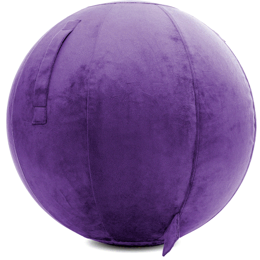 360 - YOGA-75-PBALL-Purp-Elect - Husband Pillow