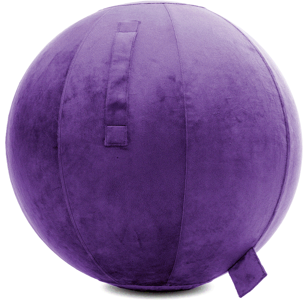 360 - YOGA-75-PBALL-Purp-Elect - Husband Pillow