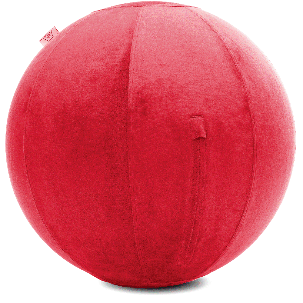 360 - YOGA-75-PBALL-Red-Elect - Husband Pillow