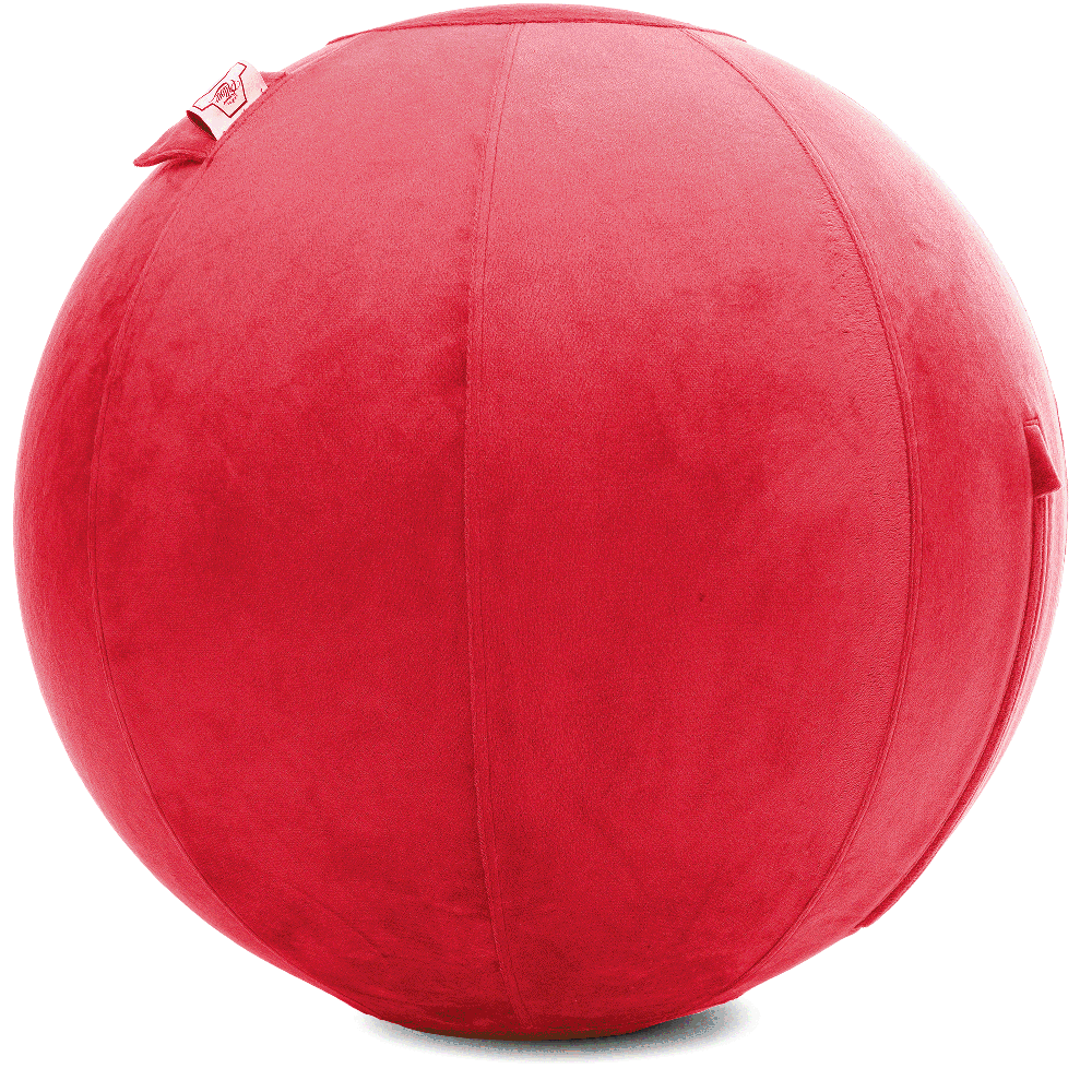 360 - YOGA-75-PBALL-Red-Elect - Husband Pillow