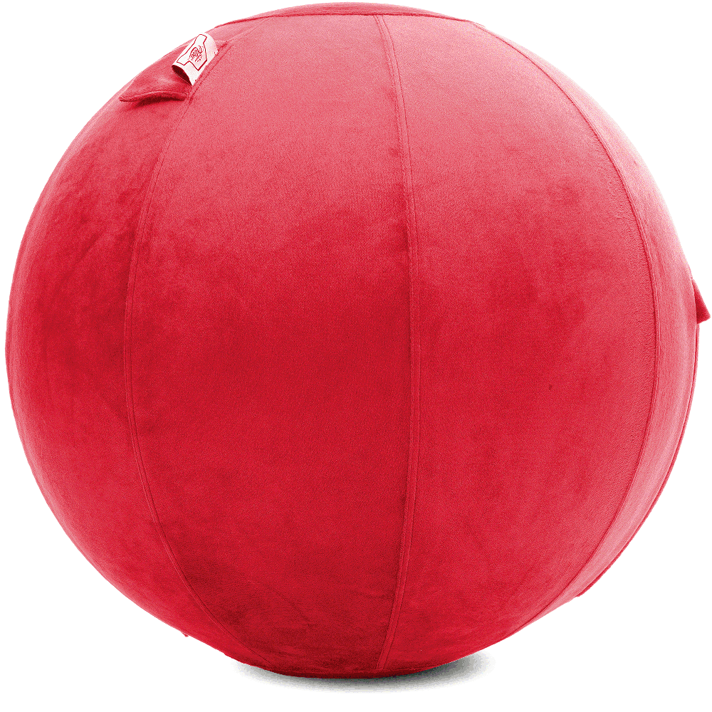 360 - YOGA-75-PBALL-Red-Elect - Husband Pillow