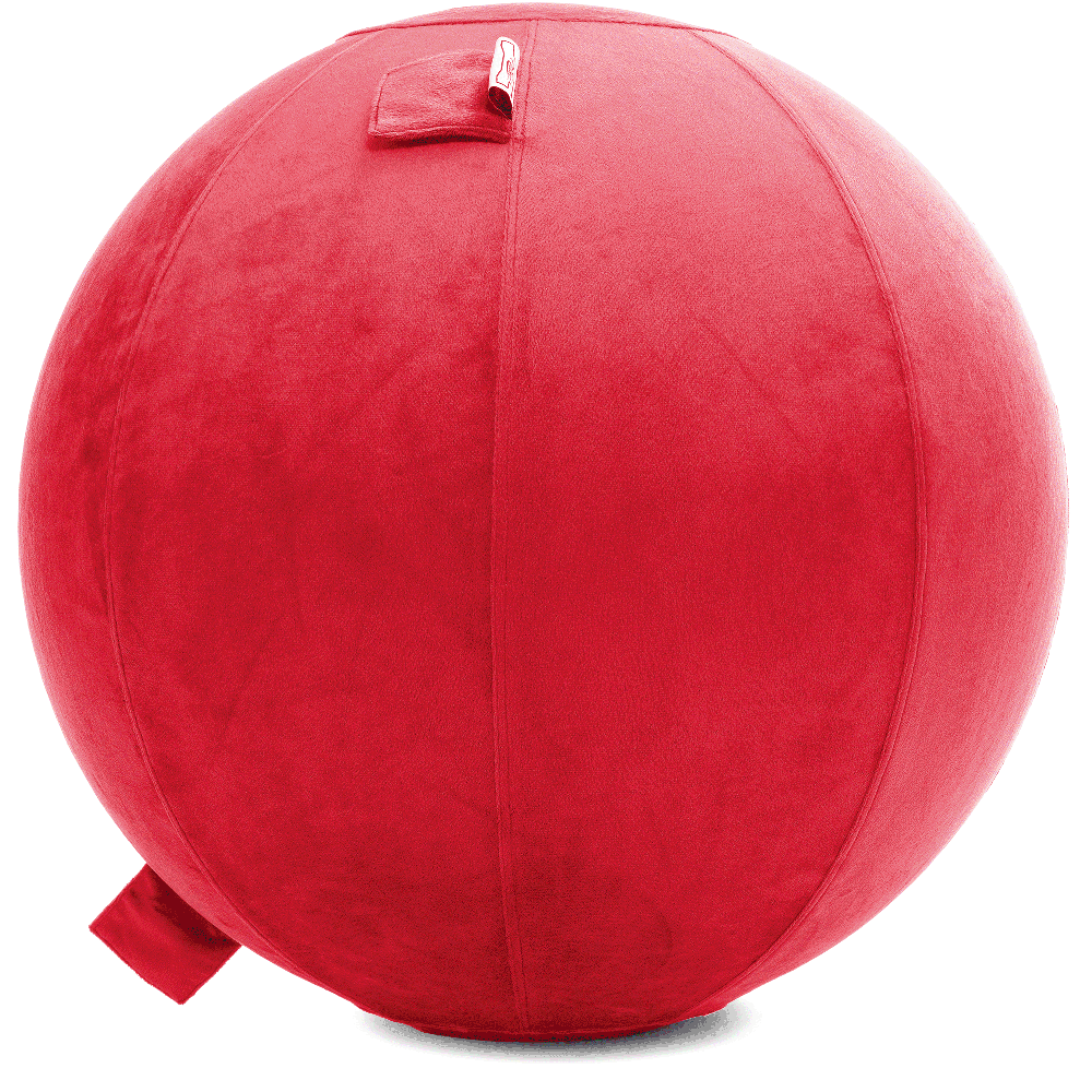 360 - YOGA-75-PBALL-Red-Elect - Husband Pillow