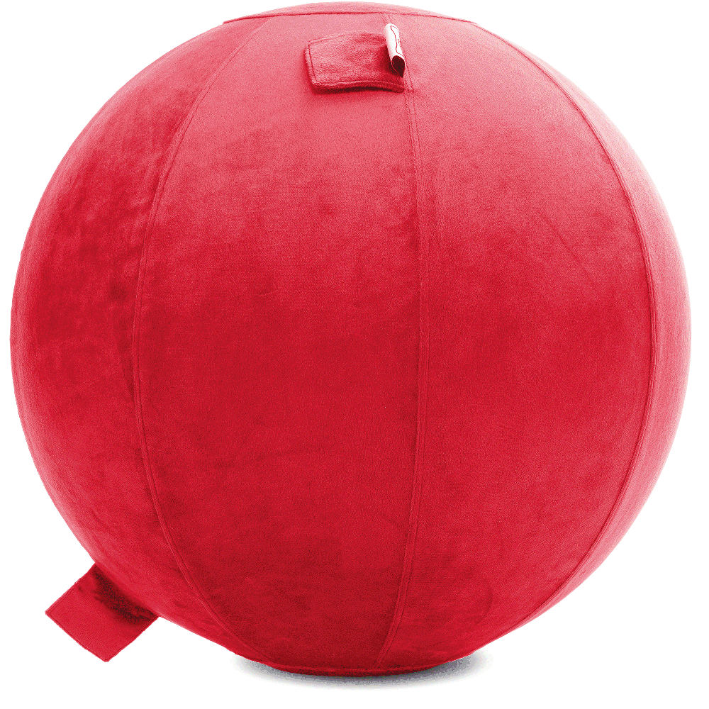 360 - YOGA-75-PBALL-Red-Elect - Husband Pillow