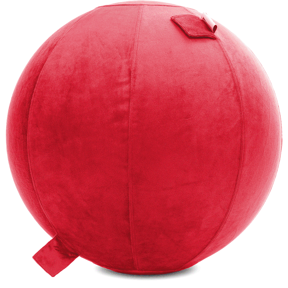 360 - YOGA-75-PBALL-Red-Elect - Husband Pillow