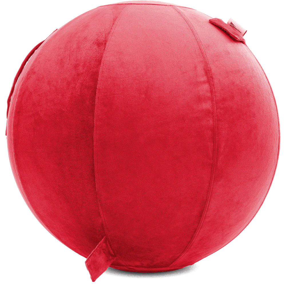 360 - YOGA-75-PBALL-Red-Elect - Husband Pillow