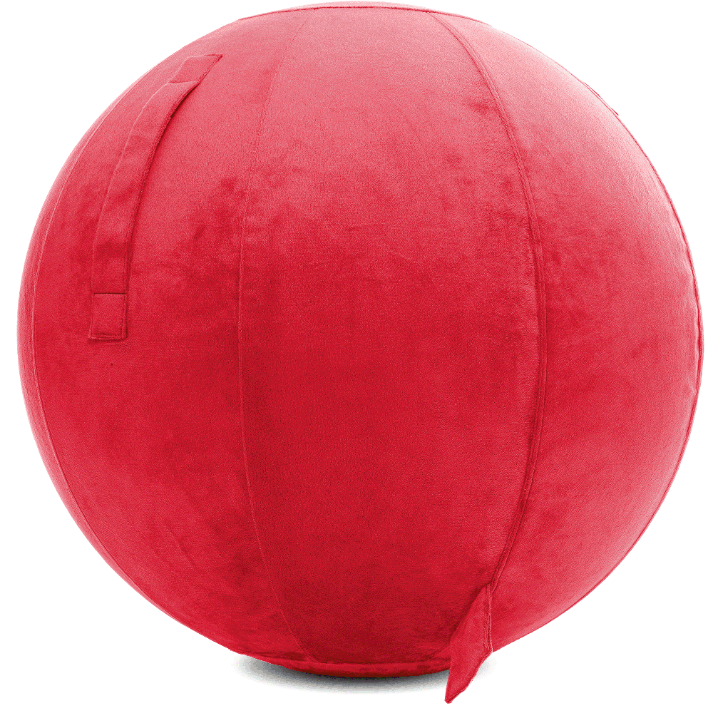 360 - YOGA-75-PBALL-Red-Elect - Husband Pillow