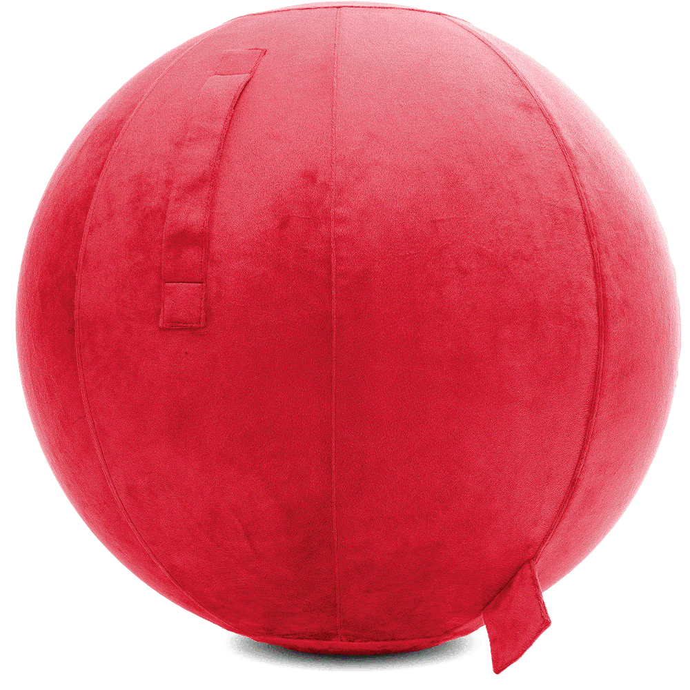 360 - YOGA-75-PBALL-Red-Elect - Husband Pillow