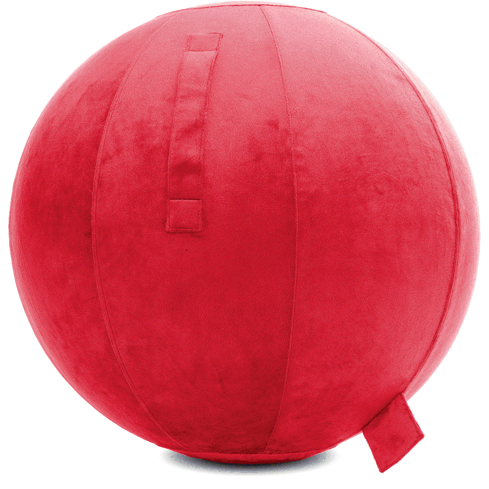 360 - YOGA-75-PBALL-Red-Elect - Husband Pillow