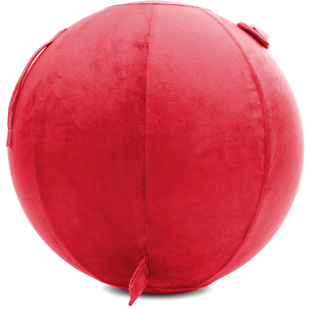 360 - YOGA-75-PBALL-Red-Manual - Husband Pillow