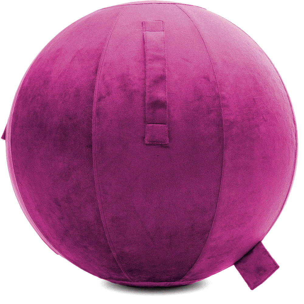 360 - YOGA-75-PBALL-SRaspberry-Elect - Husband Pillow