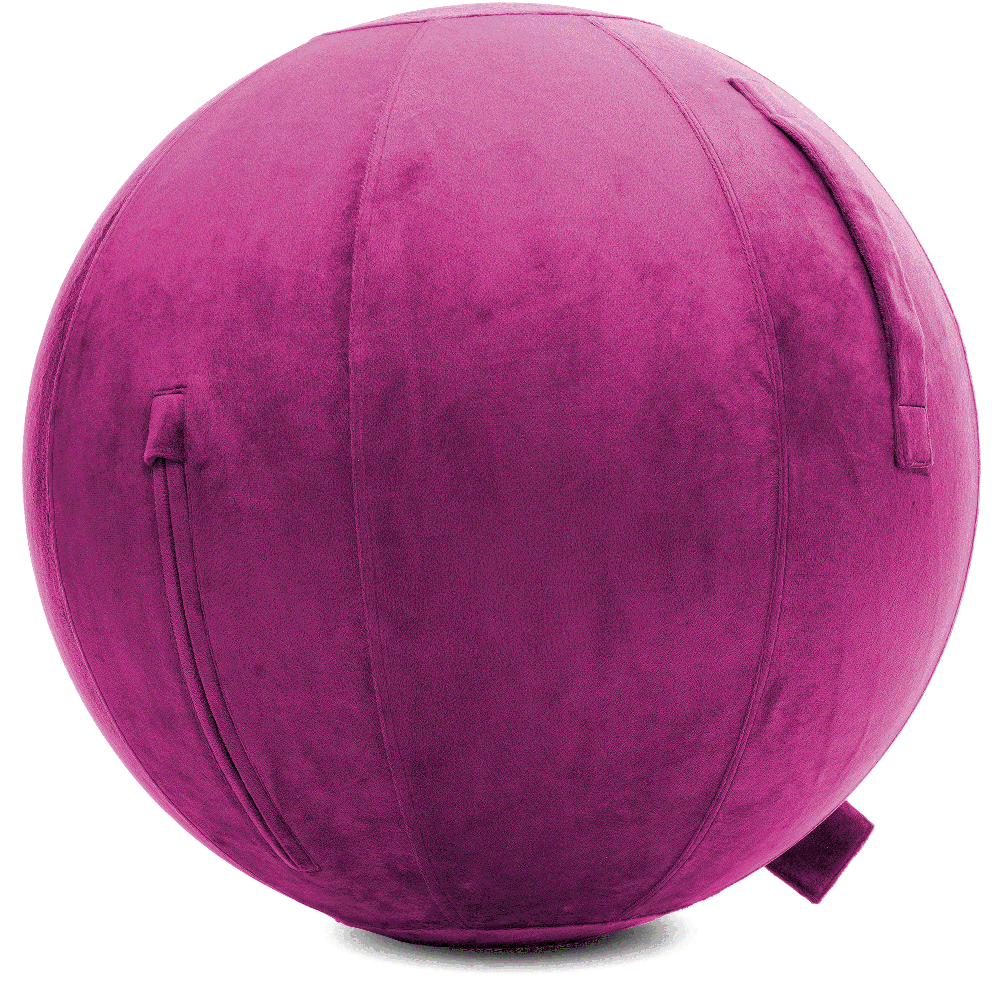 360 - YOGA-75-PBALL-SRaspberry-Elect - Husband Pillow