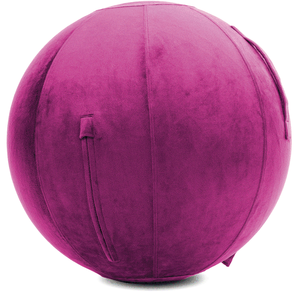 360 - YOGA-75-PBALL-SRaspberry-Elect - Husband Pillow