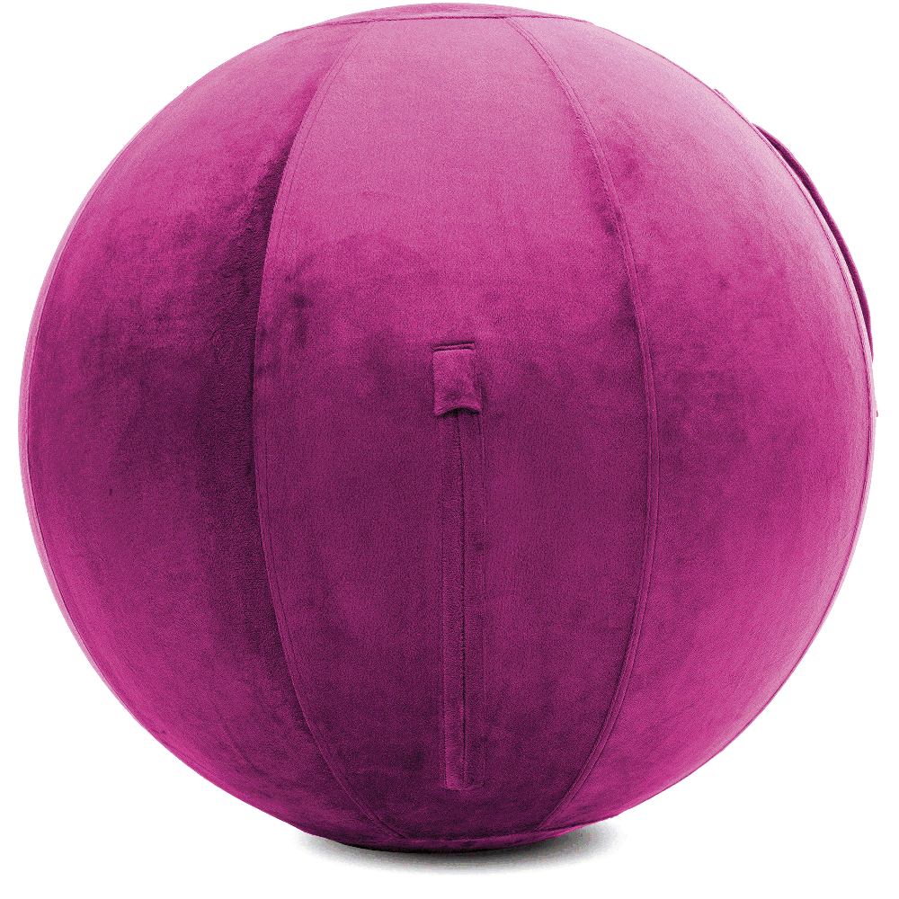 360 - YOGA-75-PBALL-SRaspberry-Elect - Husband Pillow