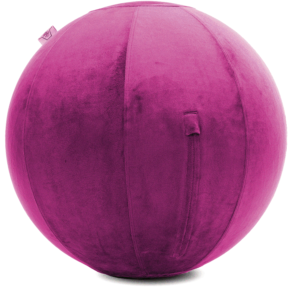 360 - YOGA-75-PBALL-SRaspberry-Elect - Husband Pillow