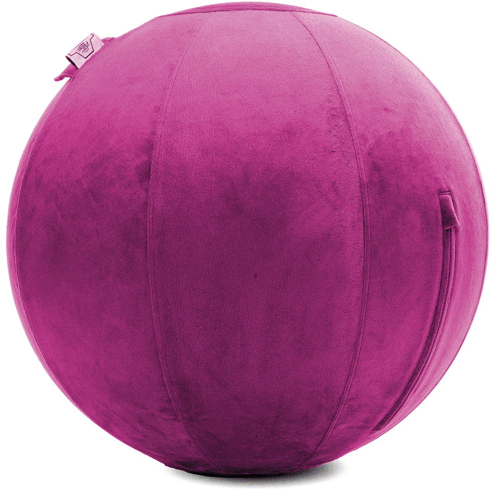 360 - YOGA-75-PBALL-SRaspberry-Elect - Husband Pillow