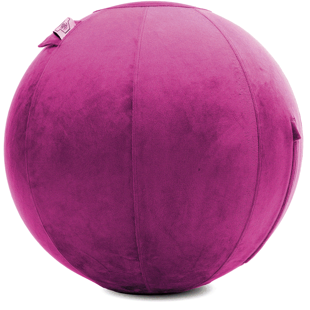 360 - YOGA-75-PBALL-SRaspberry-Elect - Husband Pillow