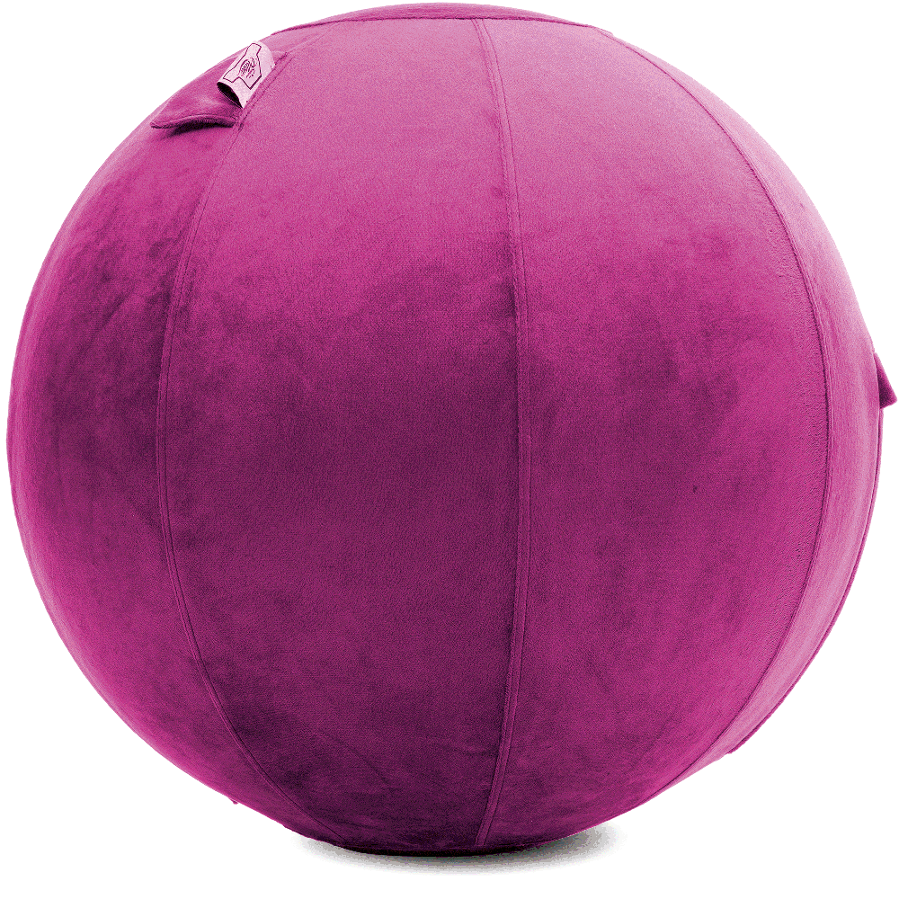 360 - YOGA-75-PBALL-SRaspberry-Elect - Husband Pillow