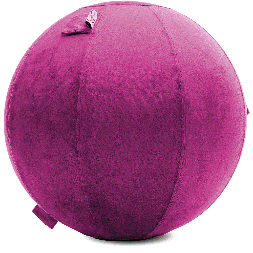 360 - YOGA-75-PBALL-SRaspberry-Elect - Husband Pillow