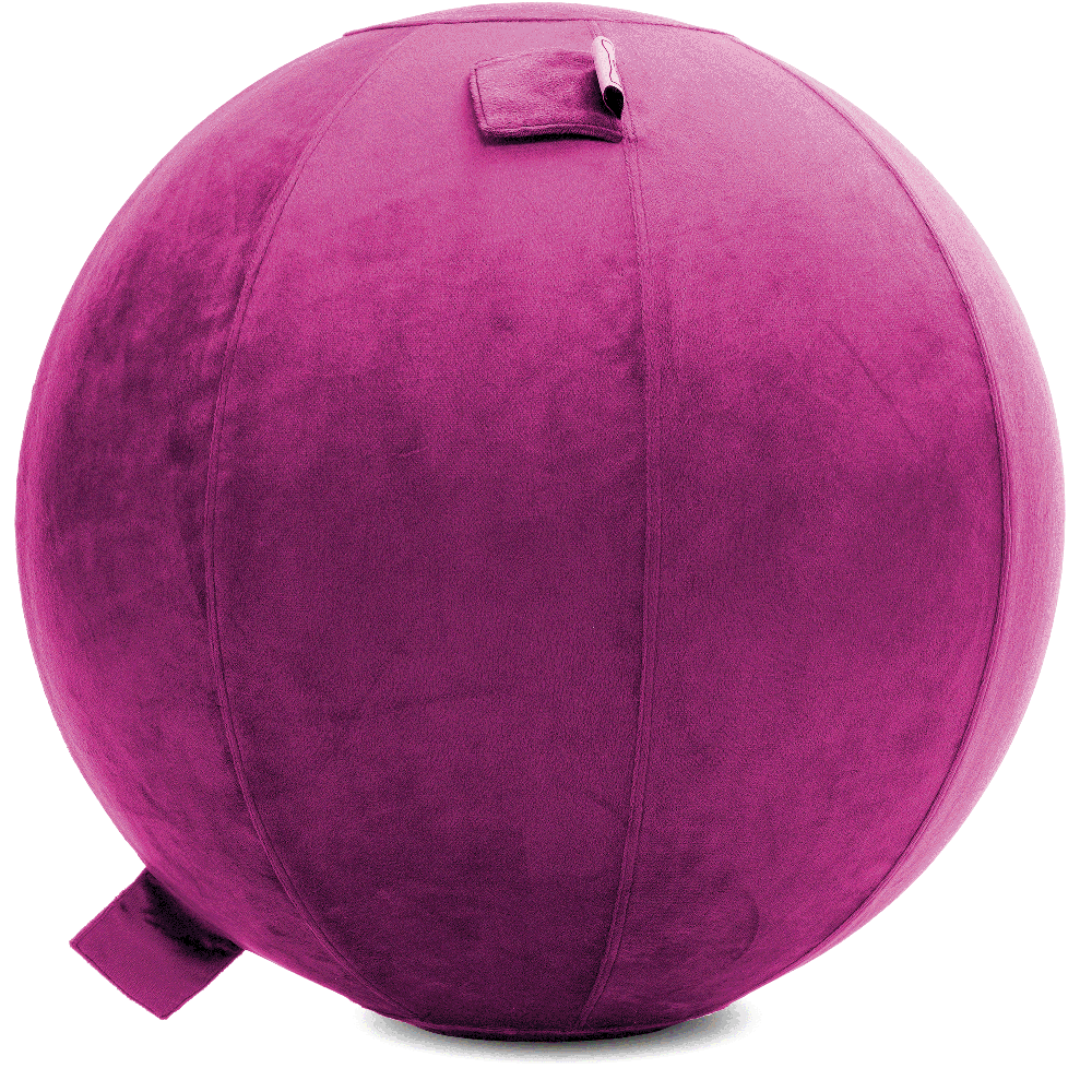 360 - YOGA-75-PBALL-SRaspberry-Elect - Husband Pillow