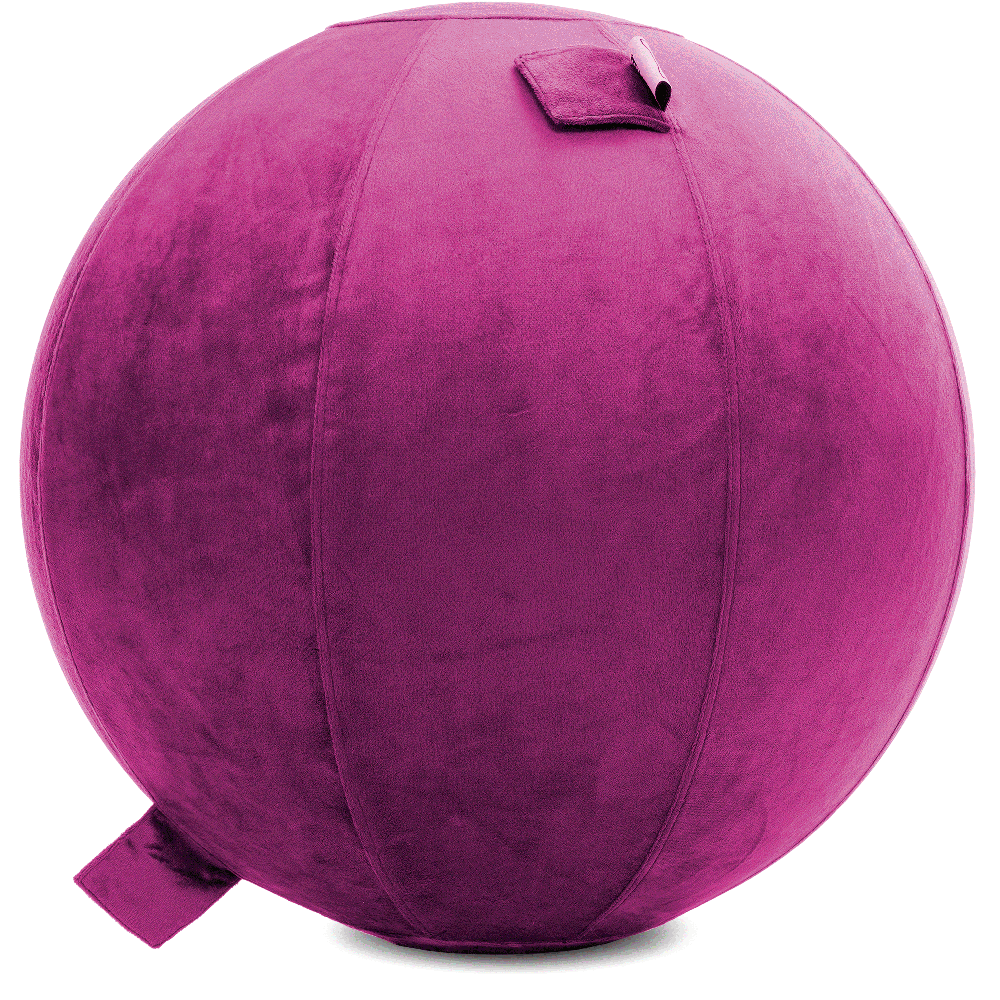 360 - YOGA-75-PBALL-SRaspberry-Elect - Husband Pillow