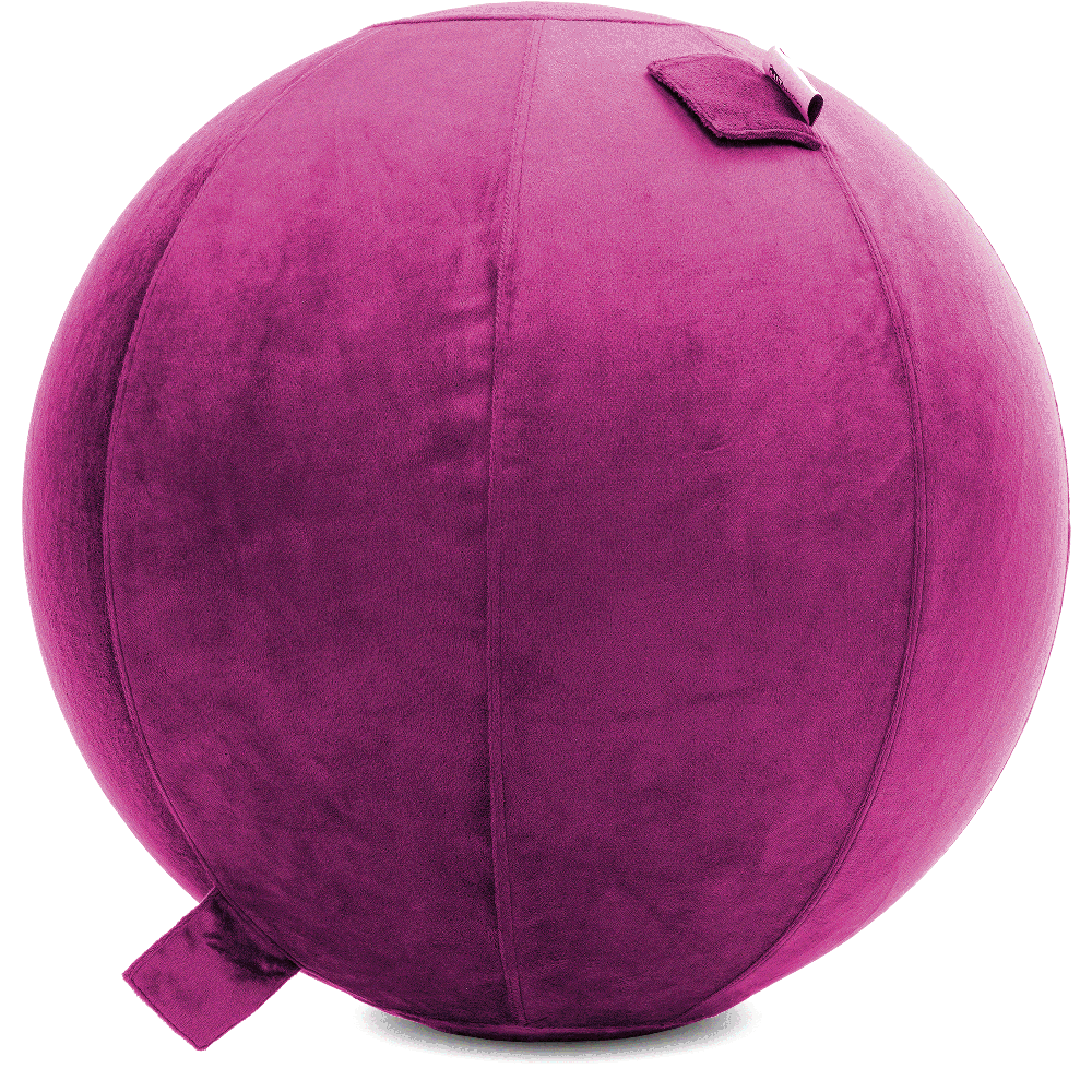 360 - YOGA-75-PBALL-SRaspberry-Elect - Husband Pillow