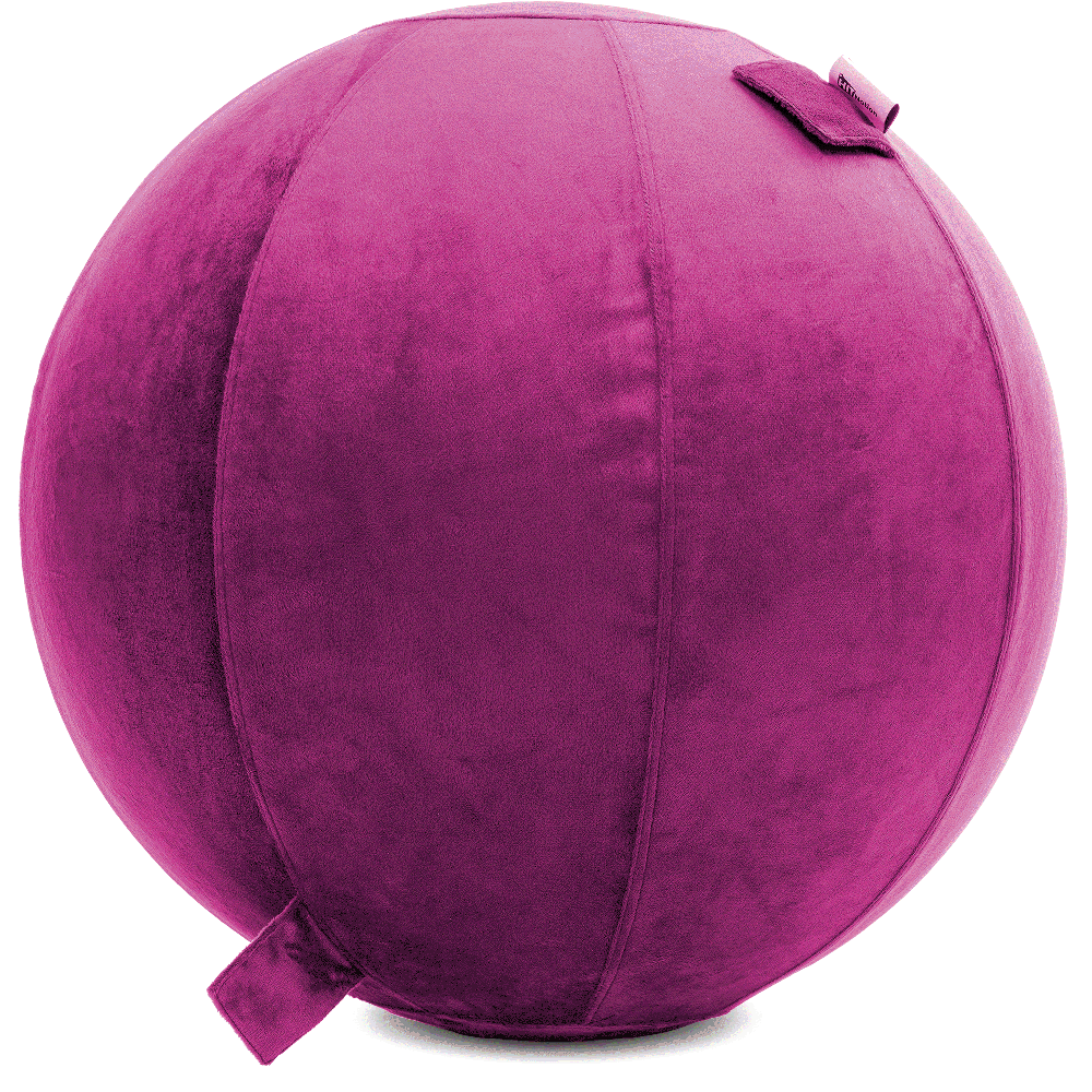 360 - YOGA-75-PBALL-SRaspberry-Elect - Husband Pillow