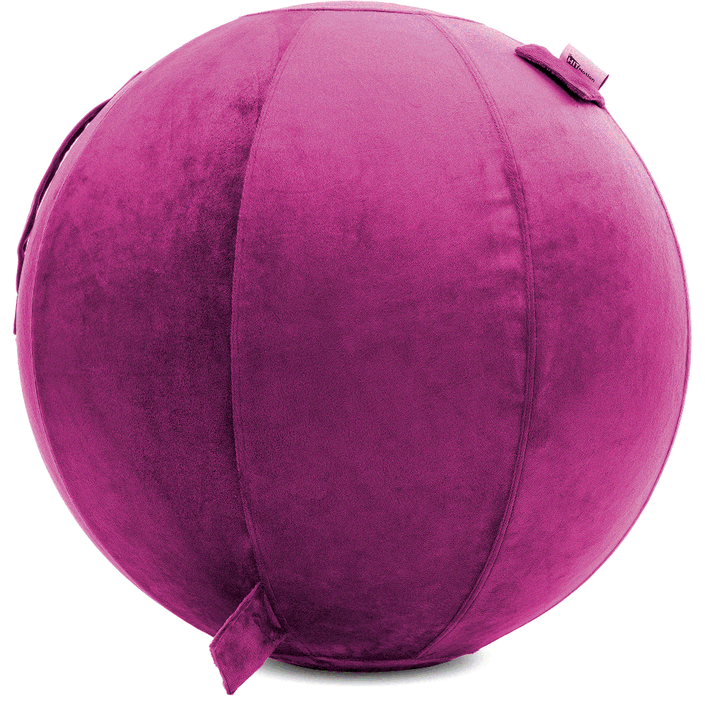 360 - YOGA-75-PBALL-SRaspberry-Elect - Husband Pillow