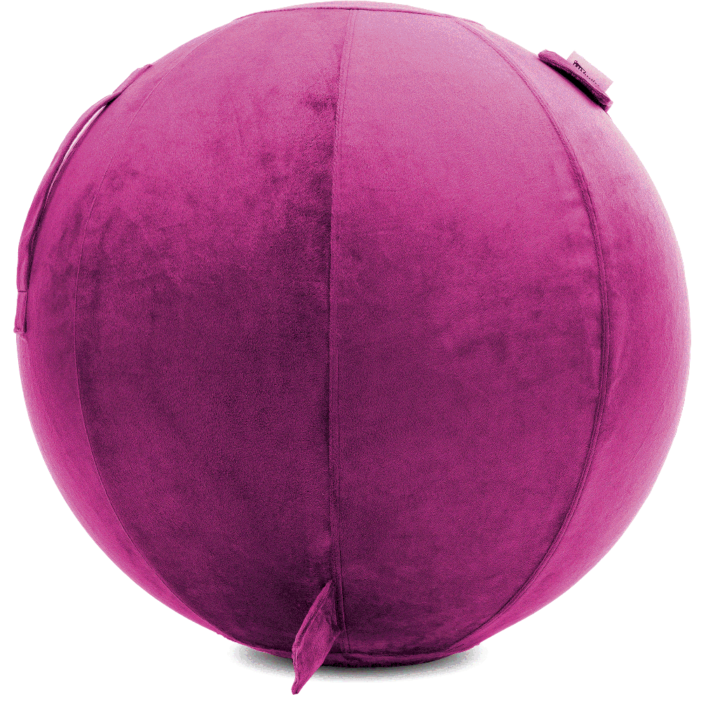 360 - YOGA-75-PBALL-SRaspberry-Elect - Husband Pillow