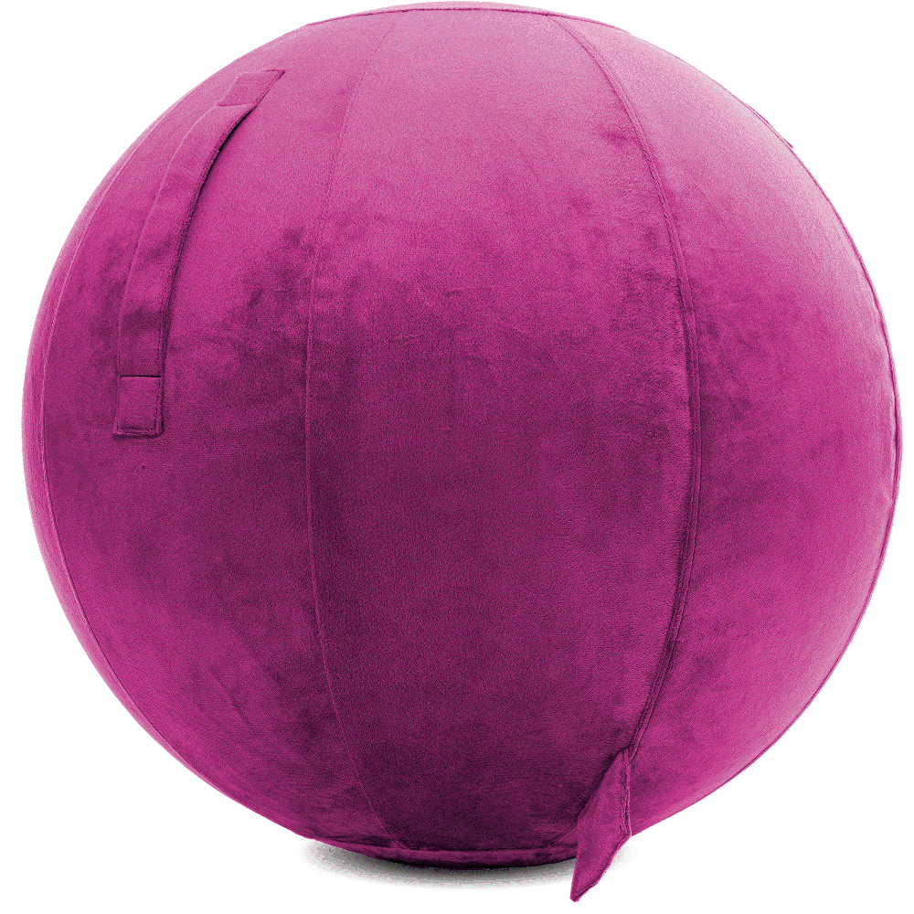 360 - YOGA-75-PBALL-SRaspberry-Elect - Husband Pillow