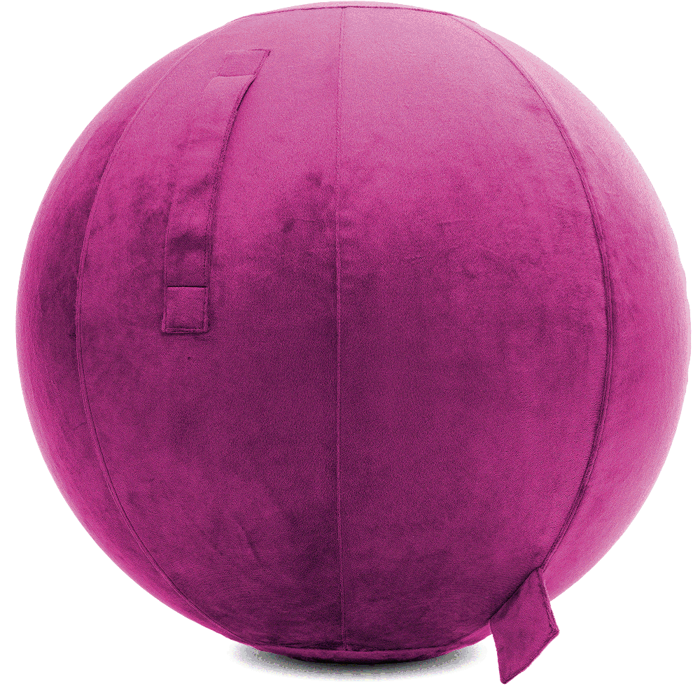 360 - YOGA-75-PBALL-SRaspberry-Elect - Husband Pillow