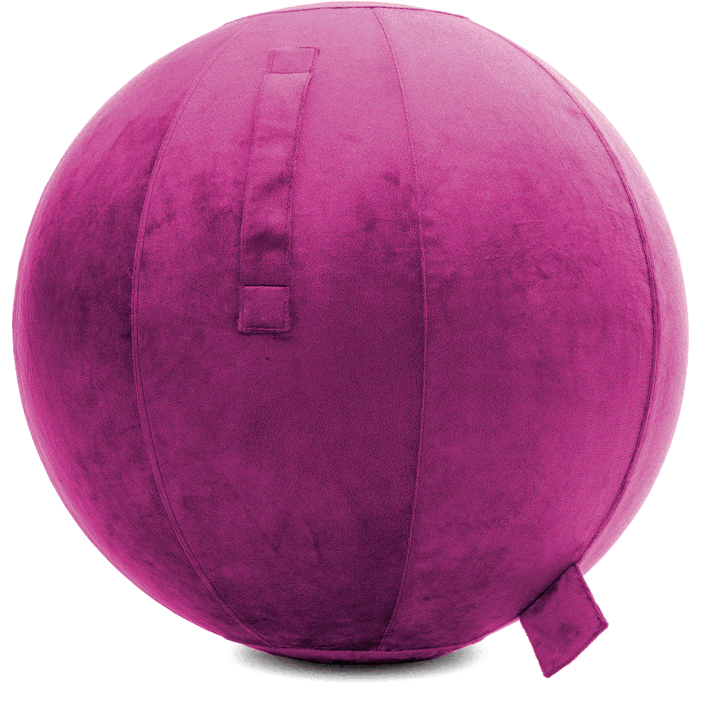 360 - YOGA-75-PBALL-SRaspberry-Elect - Husband Pillow