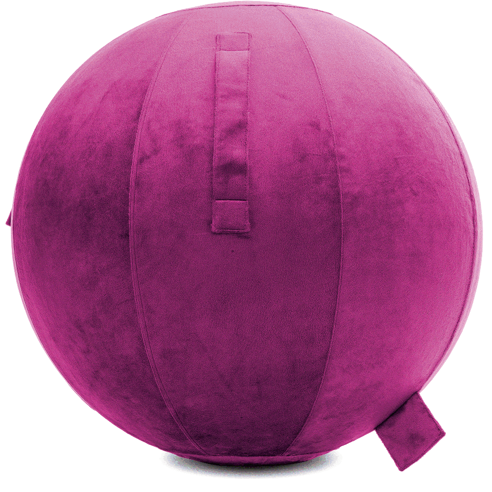 360 - YOGA-75-PBALL-SRaspberry-Elect - Husband Pillow