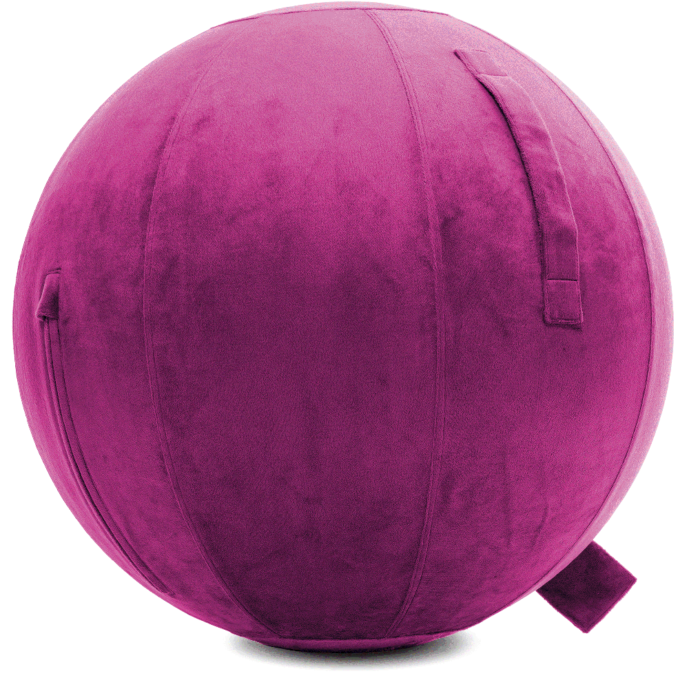 360 - YOGA-75-PBALL-SRaspberry-Manual - Husband Pillow