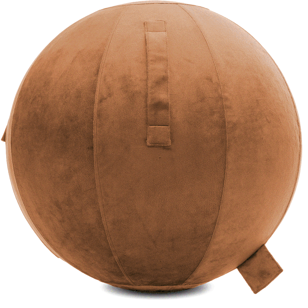 360 - YOGA-75-PBALL-Tan-Manual - Husband Pillow