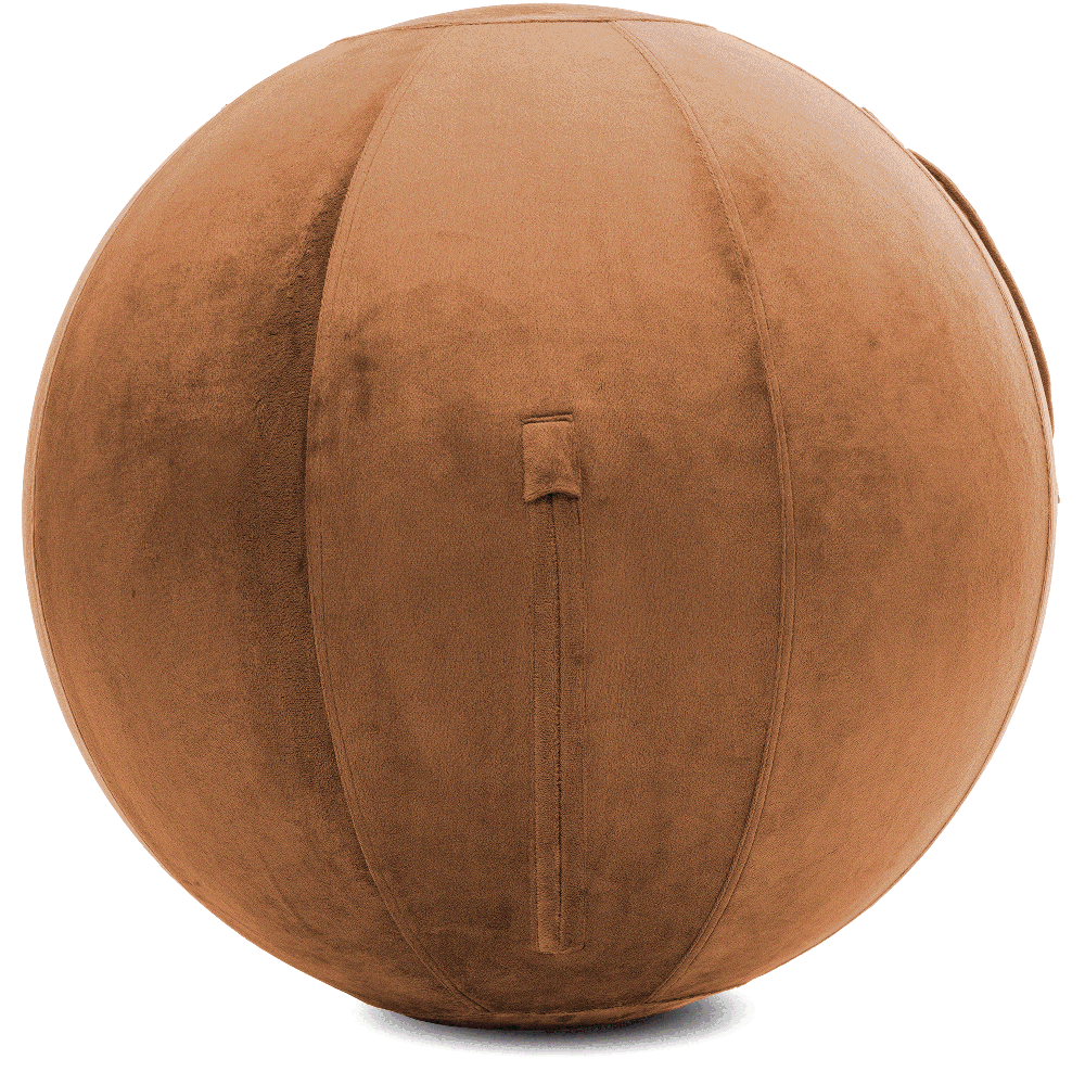 360 - YOGA-75-PBALL-Tan-Manual - Husband Pillow