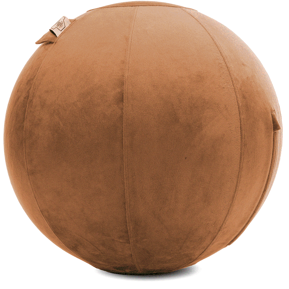 360 - YOGA-75-PBALL-Tan-Manual - Husband Pillow