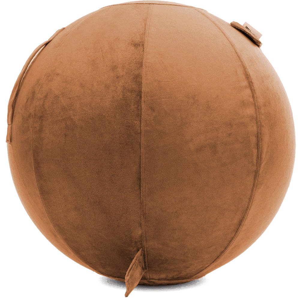 360 - YOGA-75-PBALL-Tan-Manual - Husband Pillow