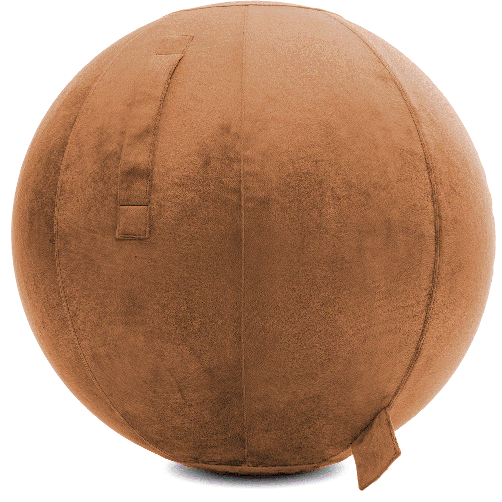 360 - YOGA-75-PBALL-Tan-Manual - Husband Pillow