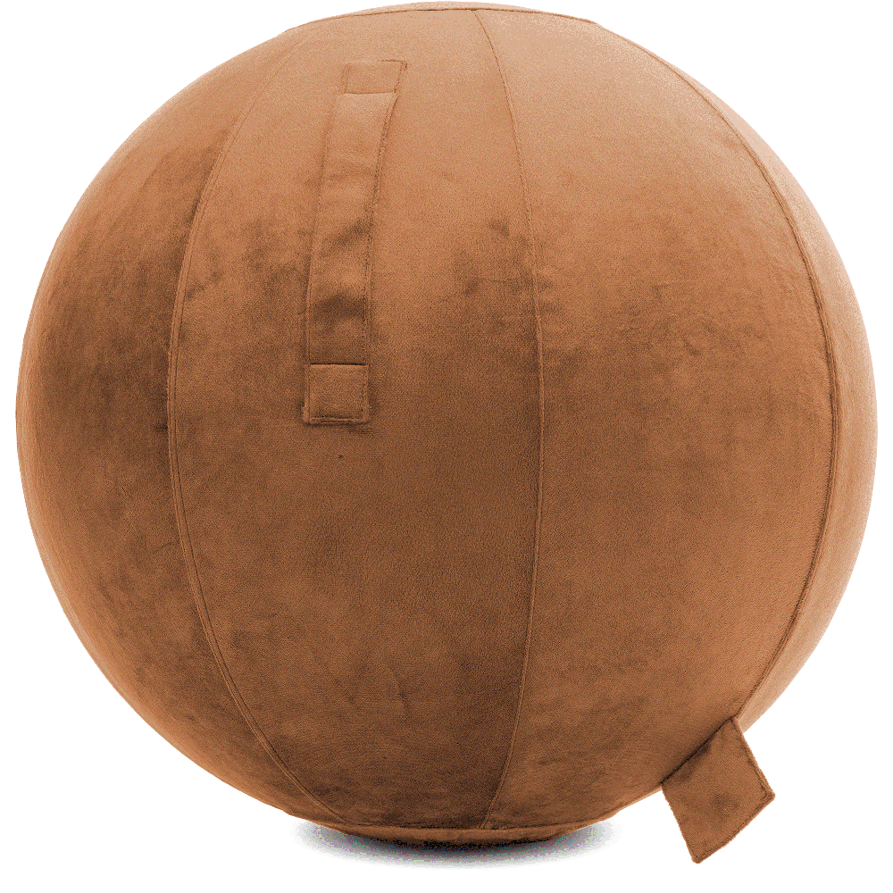 360 - YOGA-75-PBALL-Tan-Manual - Husband Pillow