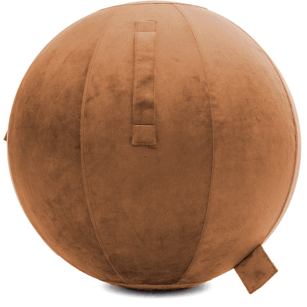 360 - YOGA-75-PBALL-Tan-Manual - Husband Pillow