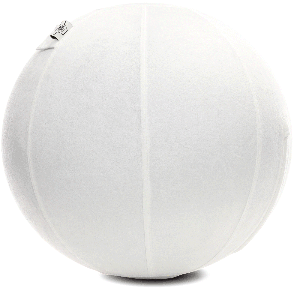 360 - YOGA-75-PBALL-White-Manual - Husband Pillow